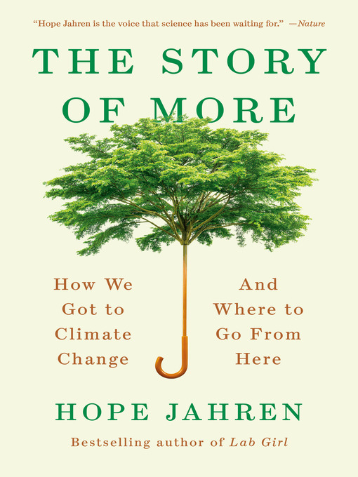 Cover image for The Story of More